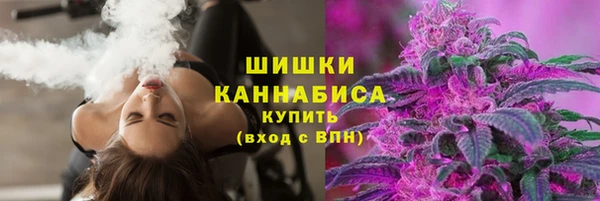 гидра Нязепетровск