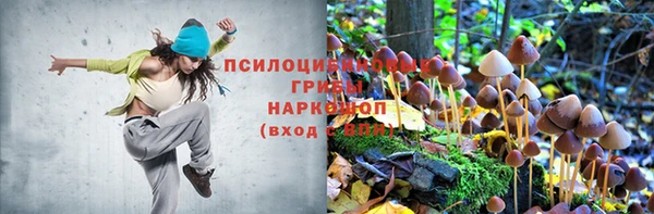молекула духа Пыталово