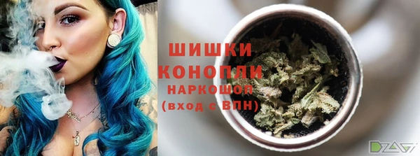 молекула духа Пыталово
