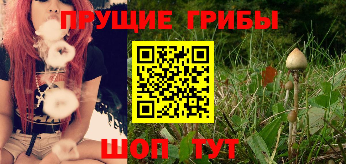 Галлюциногенные грибы Cubensis Махачкала