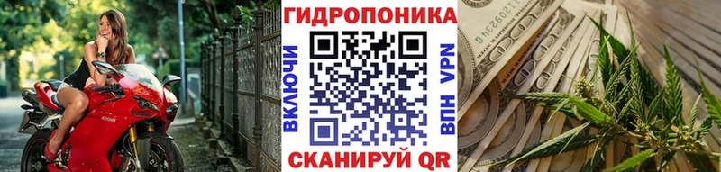 Марихуана конопля  Махачкала 